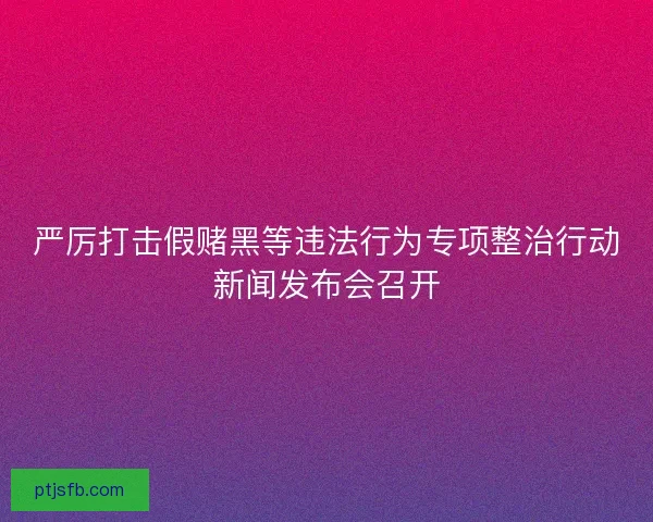 严厉打击假赌黑等违法行为专项整治行动新闻发布会召开