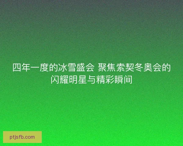 四年一度的冰雪盛会 聚焦索契冬奥会的闪耀明星与精彩瞬间